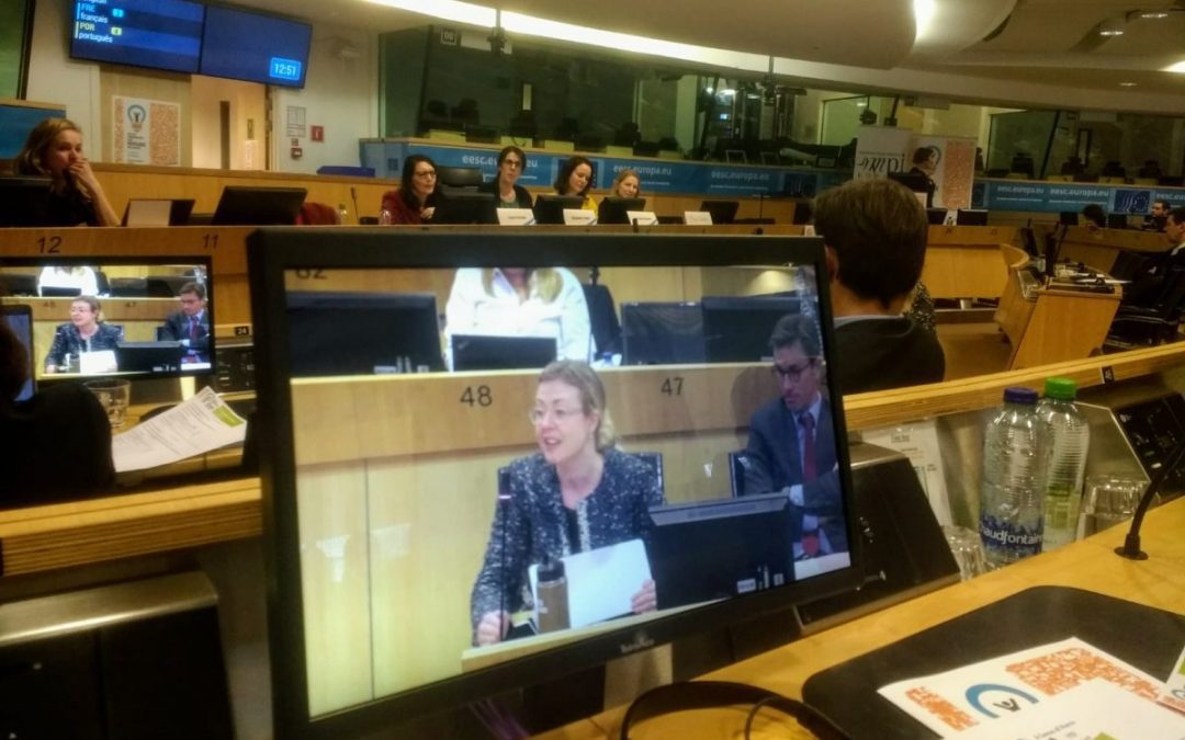 Participation SER at conference about migration policy